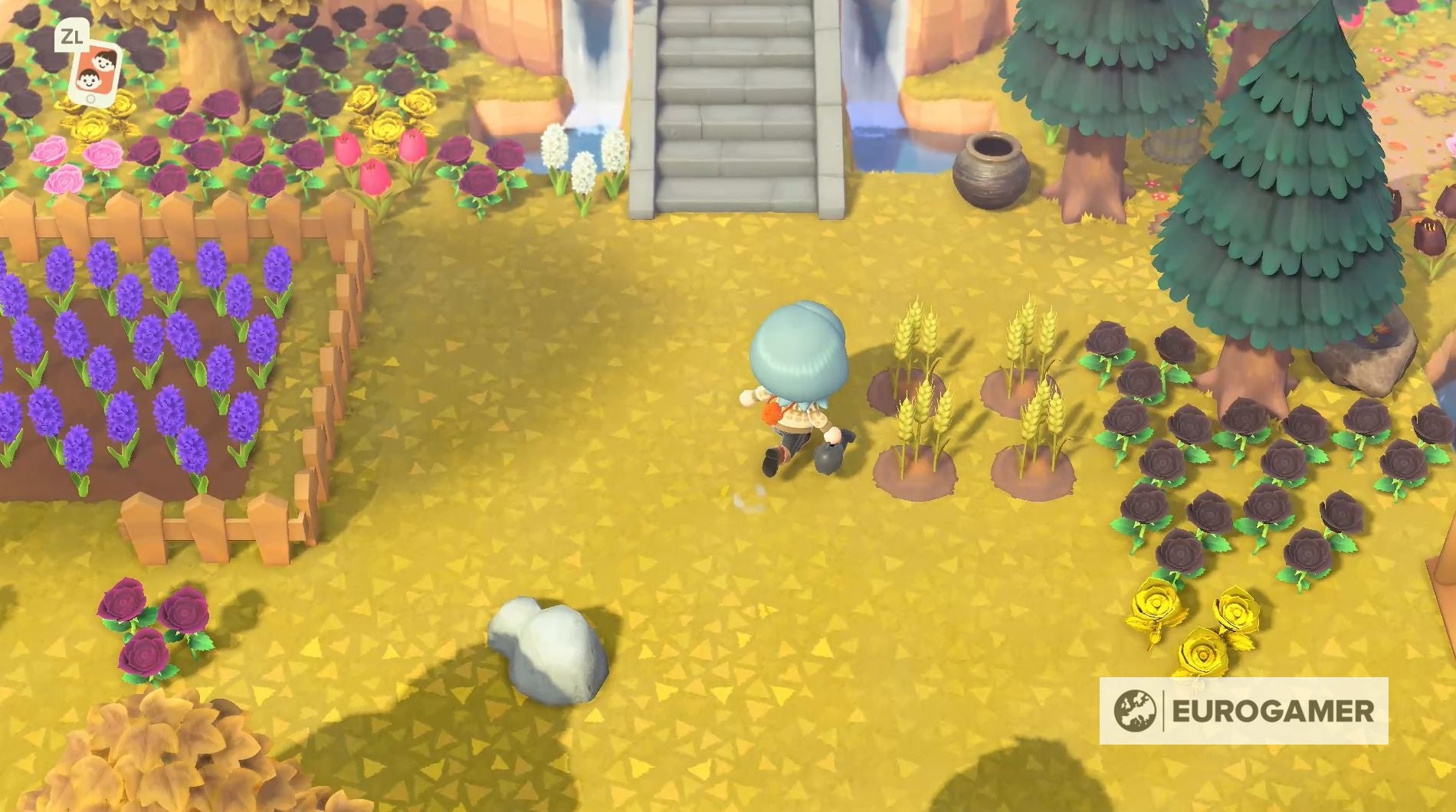 Animal Crossing Flour How to grow wheat and find flour in New Horizons